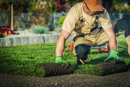 Landscaping