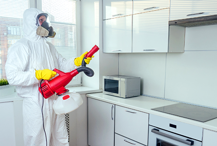 Pest Control